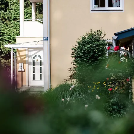 Flor Daire Wasserhofen